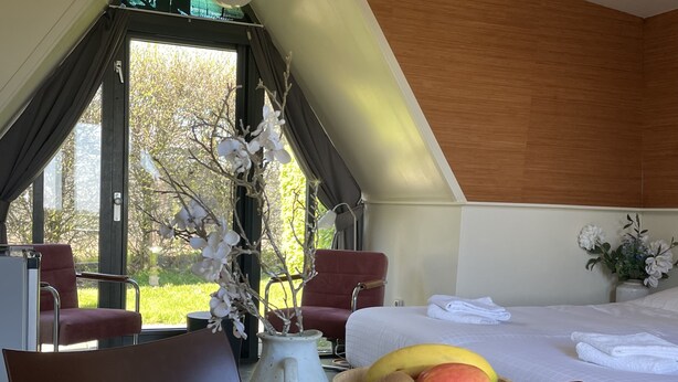 A modern hotel room with a bed, a dining table with chairs, a vase with flowers, and a bowl of fruit. - Hotelhuisjes Andijk (Andijk)