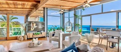 Télévision, cheminée, espaces bureaux