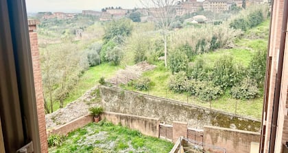 Provenzano Top floor