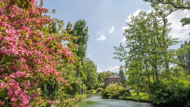 Un río con vegetación exuberante y flores rosadas a la izquierda, un edificio de ladrillo al fondo y un cielo despejado.