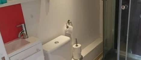 Shower, toilet paper