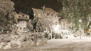 A snow-covered street with buildings and trees.