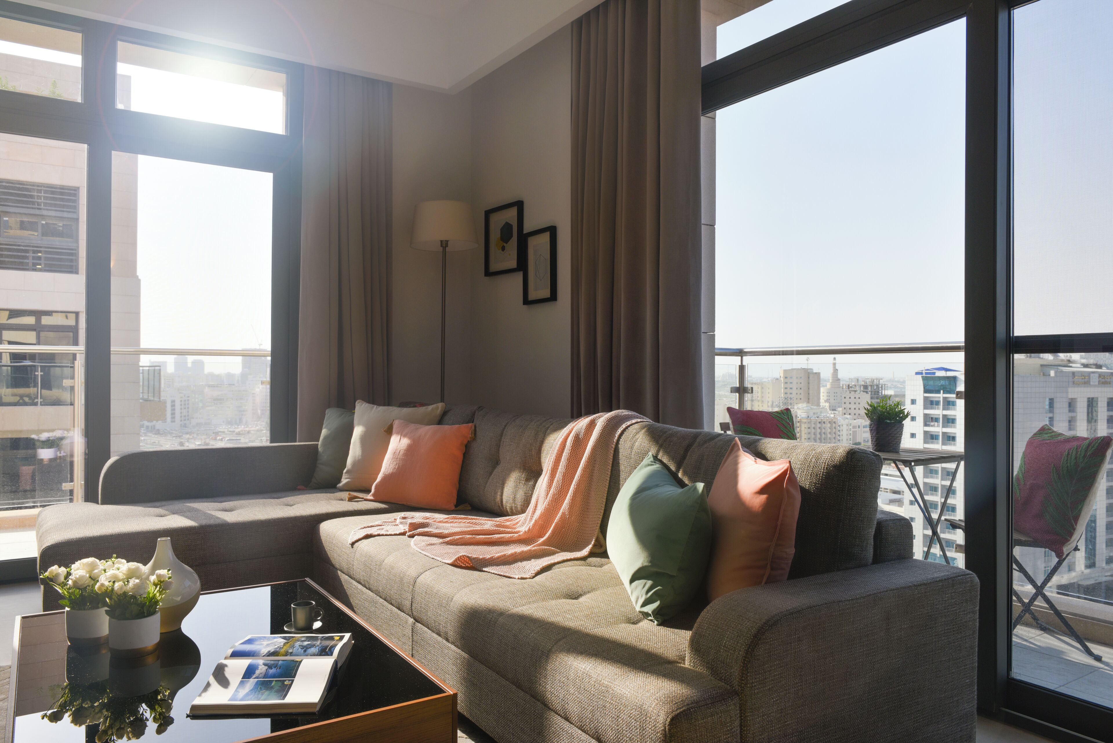 plasma tv, toys, streaming services