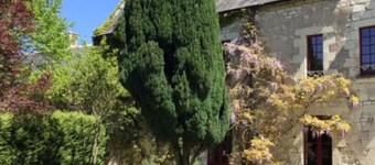 Historic manor with private pool, near Chinon