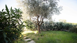 A garden with a tree, a stone path, and a bench. - Casa Vacanze Cecilia (Manerba del Garda)