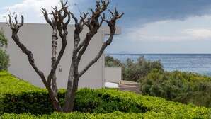 Un paisaje costero con un edificio blanco, un árbol de múltiples ramas y vista al mar.