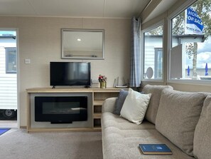 Fernseher, Kamin, Bücher