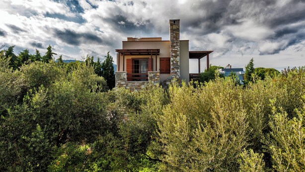A modern house with a stone chimney, surrounded by dense shrubbery. - Villa Astravi with Private Pool (Ιαλυσός)