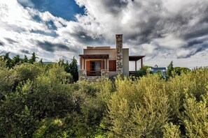 Une maison moderne avec une cheminée en pierre, entourée d’une végétation dense.
