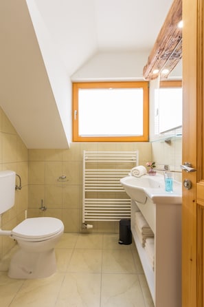 Bathroom - Vilaraj (Maribor)