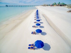 A beach with rows of blue umbrellas and lounge chairs along the shoreline.