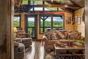 暖炉、テレビゲーム、DVD プレーヤー、ステレオ