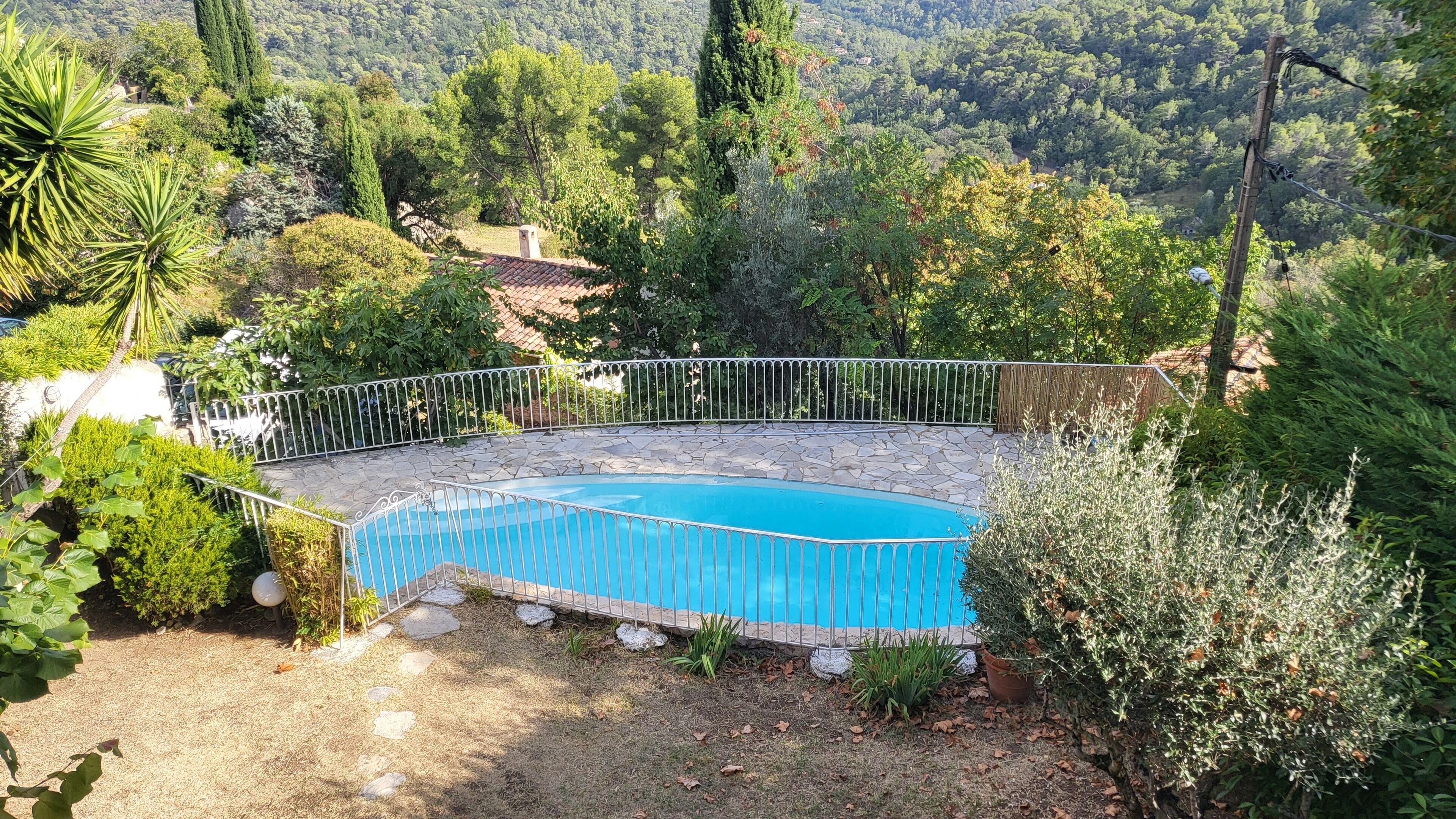 Una piscina rodeada por un solarium de piedra, con una valla metálica y diversas plantas y árboles al fondo.