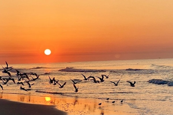 Plage à proximité, chaises longues
