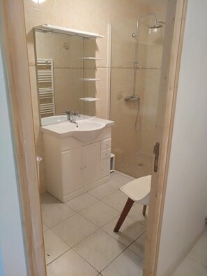 Shower - Maison de Style Périgourdine Entourée de 6 Hectares de Prairies (Bergerac)