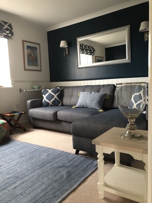 TV, stereo - Luxury, light & sunny, coastal house in centre of Newport, Pembrokeshire (Newport)