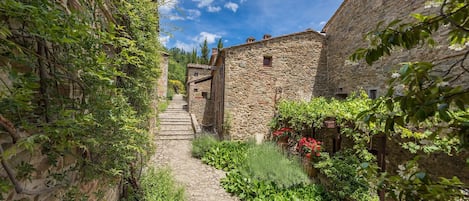 Un estrecho sendero de piedra bordeado por edificios de piedra rústicos con vegetación exuberante y un cielo azul despejado.
