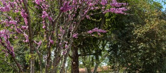 Mas 9 Romanin: Gîte Fontaine