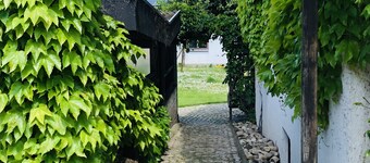 Charming apartment with barbecue area directly on the vineyard