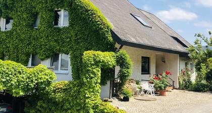 Charming apartment with barbecue area directly on the vineyard