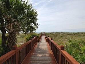 Terrain de l’hébergement 