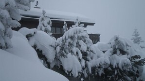 Um edifício com árvores cobertas de neve e um telhado.