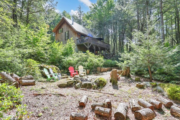 Property grounds - Cozy Berkshires Lakefront Cottage! NEW (Tolland)