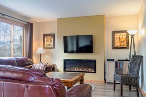 TV, fireplace, DVD player, books