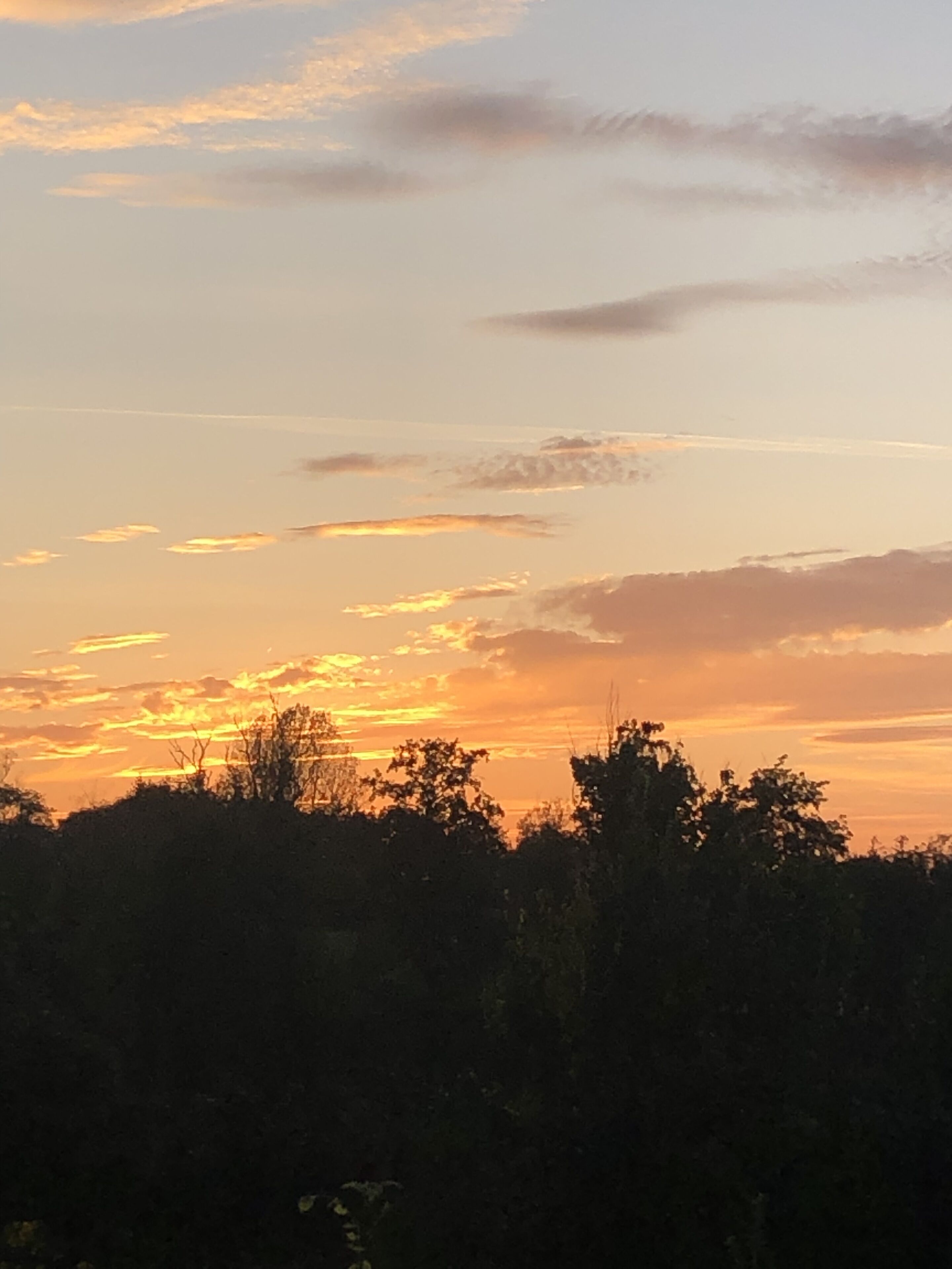 Un coucher de soleil avec des nuages et les silhouettes d’arbres.