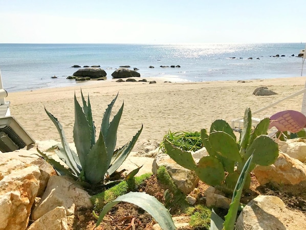 Playa