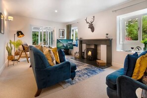 TV connectée, cheminée, lecteur de DVD, livres