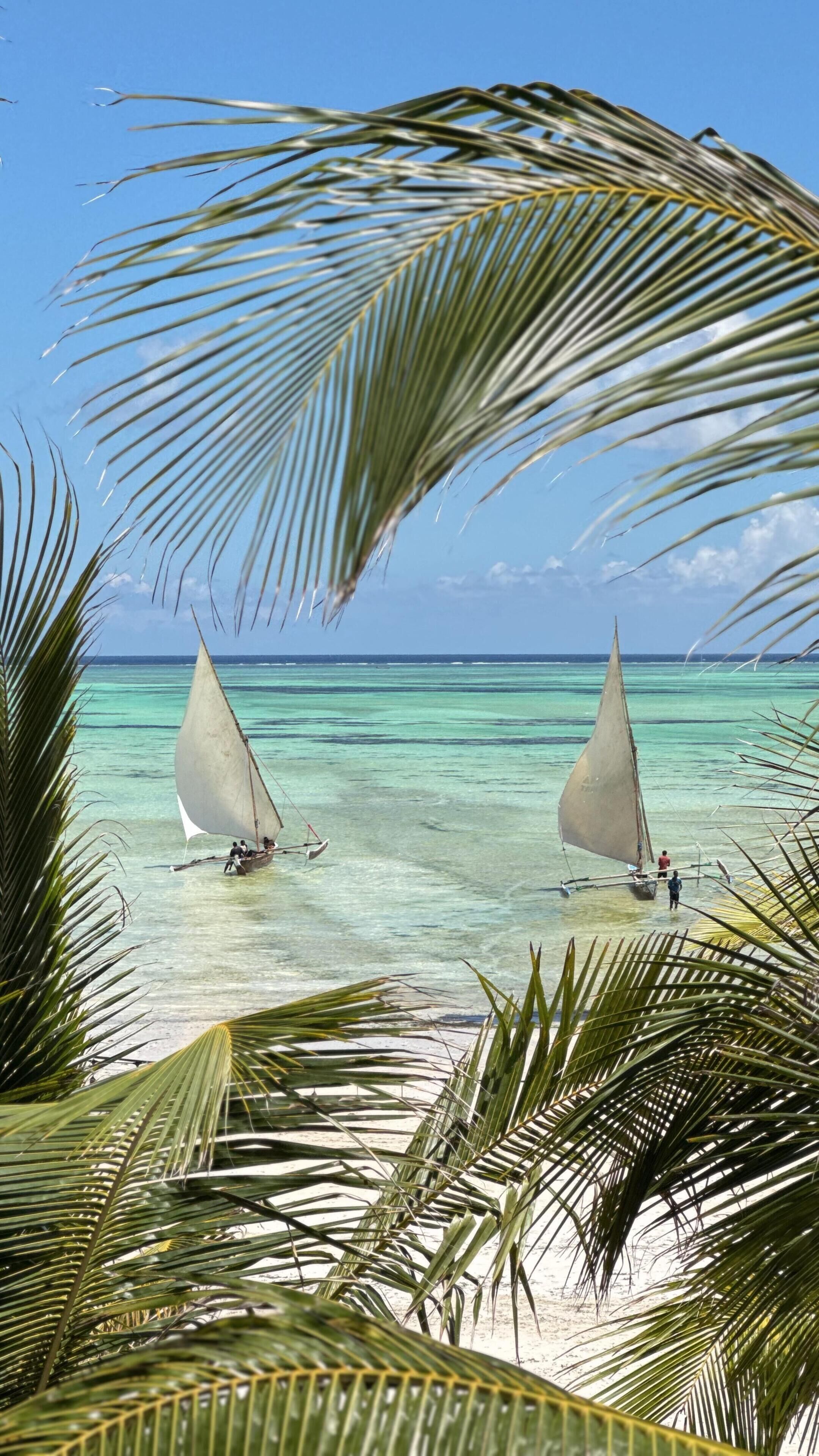 Une scène de plage avec deux voiliers et des palmiers.