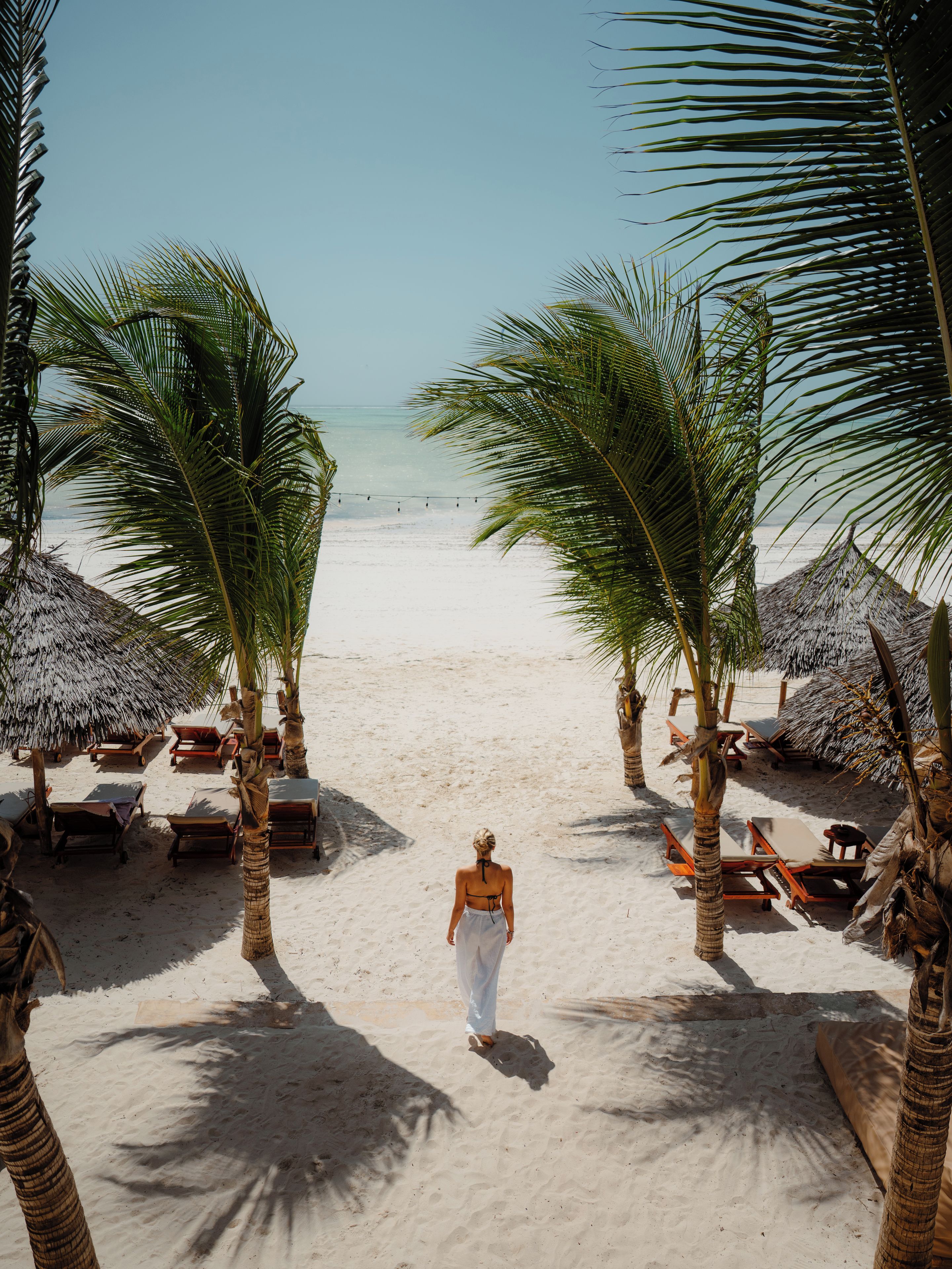 Ein Strand mit Palmen, Liegestühlen und einer Person, die auf das Wasser zugeht.