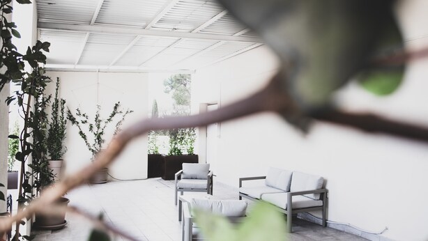 A modern, well-lit indoor space with a seating area featuring two sofas and a chair, surrounded by potted plants. - Located in the city center convenient to walk and drive to. (Matera)