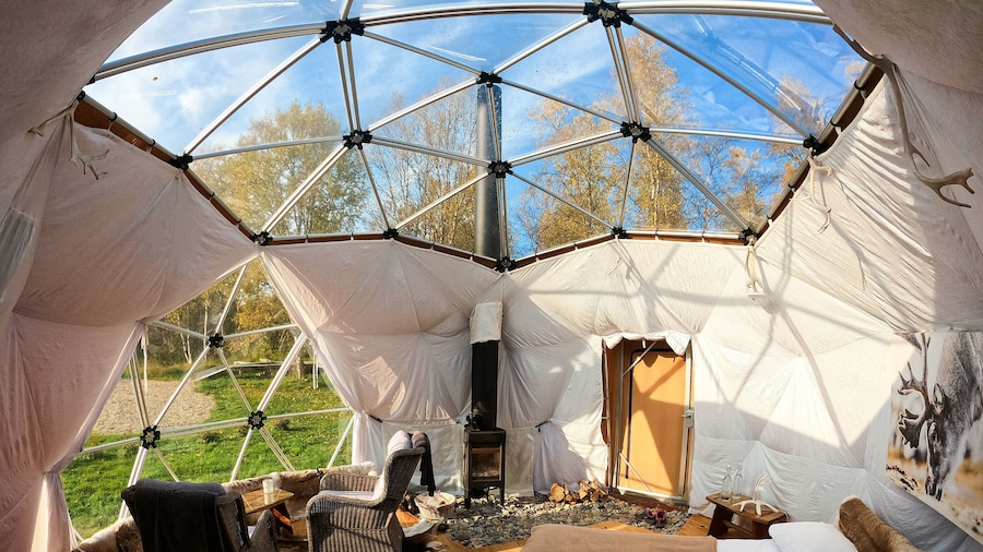 Wild Caribou Dome