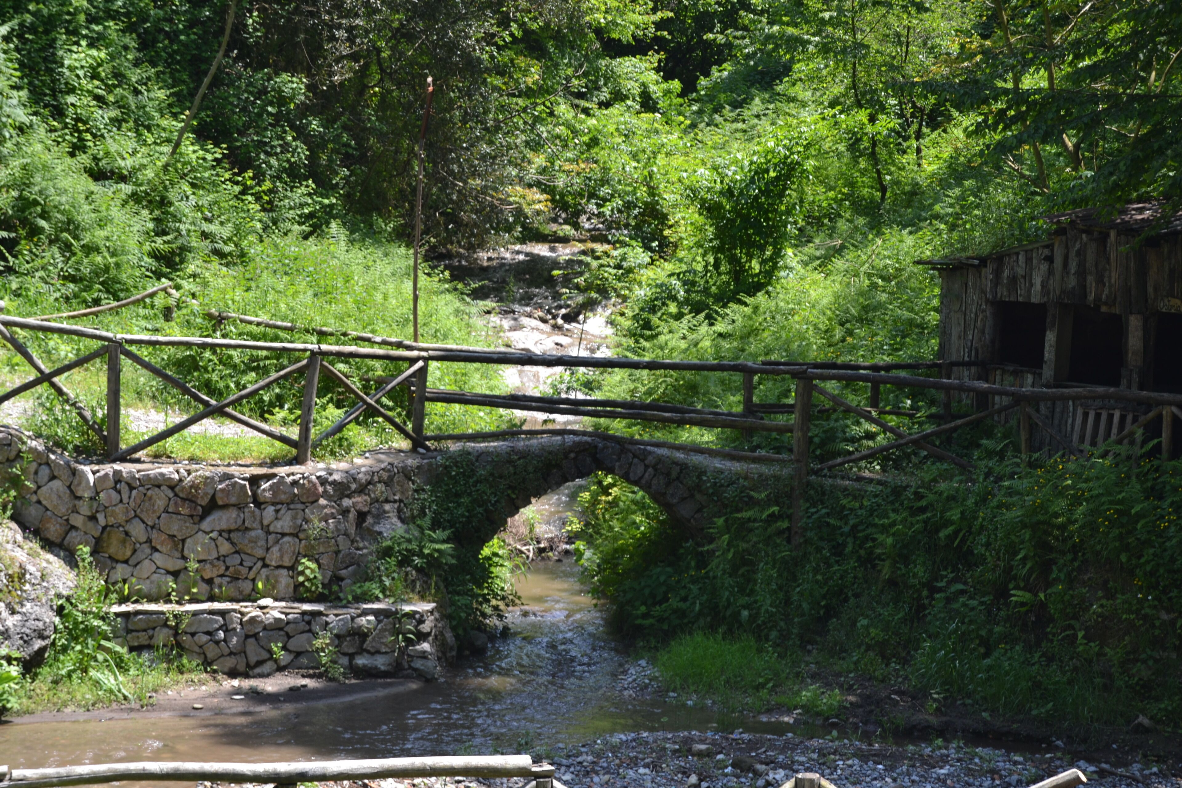 Parco della struttura