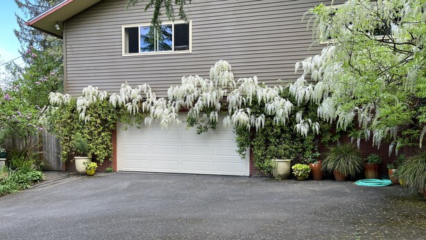 Une maison avec un garage, une allée et différentes plantes en pot.