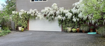 Spacious, Beautiful & Private Hillside Oasis, SW PDX & free coffee!