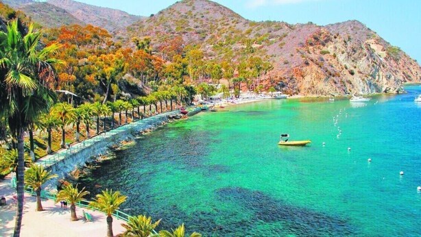 Beach - Remodeled 2BR -Prime Location -Private Views Patio (Avalon)
