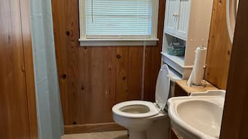 Hair dryer, towels, shampoo