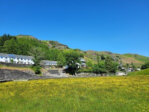 Un paysage rural avec des maisons sur une colline, un champ de fleurs jaunes et un ciel bleu dégagé.