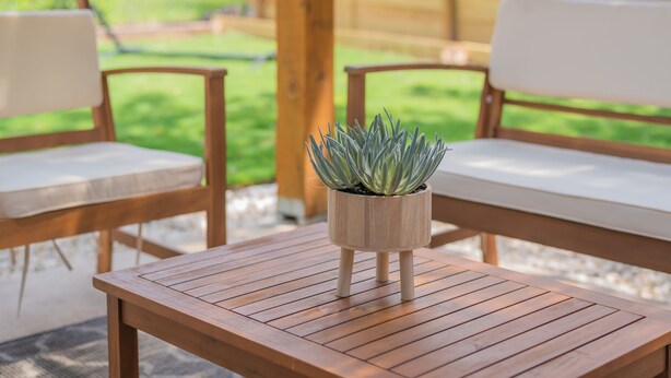A wooden table with a potted plant in the center, surrounded by two wooden chairs with cushions. - Levy inn Luxury cottage (San Antonio)