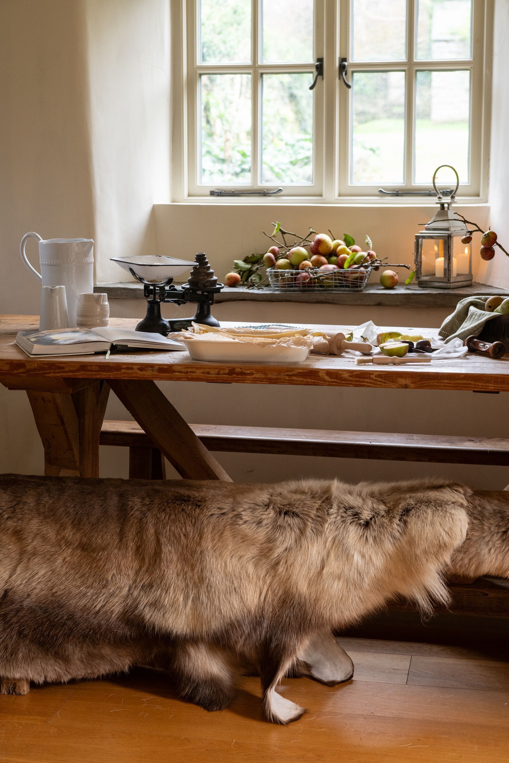 A rustic kitchen with a wooden table, a cat, and a window with fruit and a lantern.