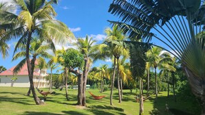 Um jardim tropical com palmeiras, uma rede e uma área gramada.