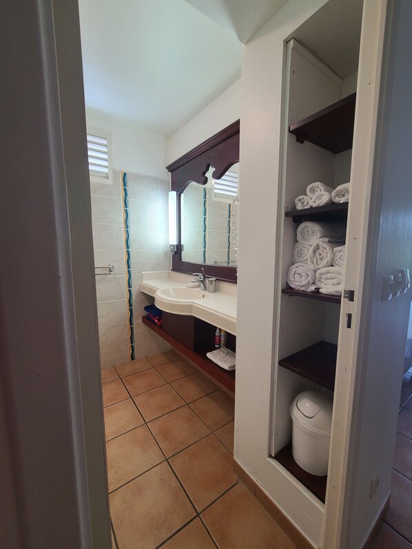 Douche, sèche-cheveux, serviettes fournies, papier toilette