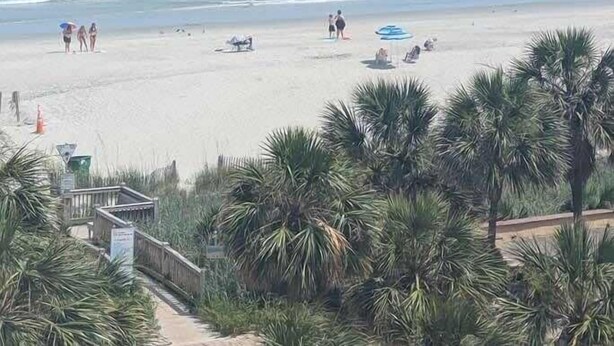 Una playa con palmeras, una torre de salvavidas y gente en la arena.