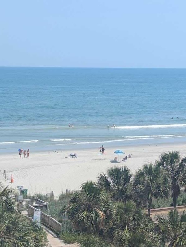 A beach with palm trees, a lifeguard tower, and people on the sand.