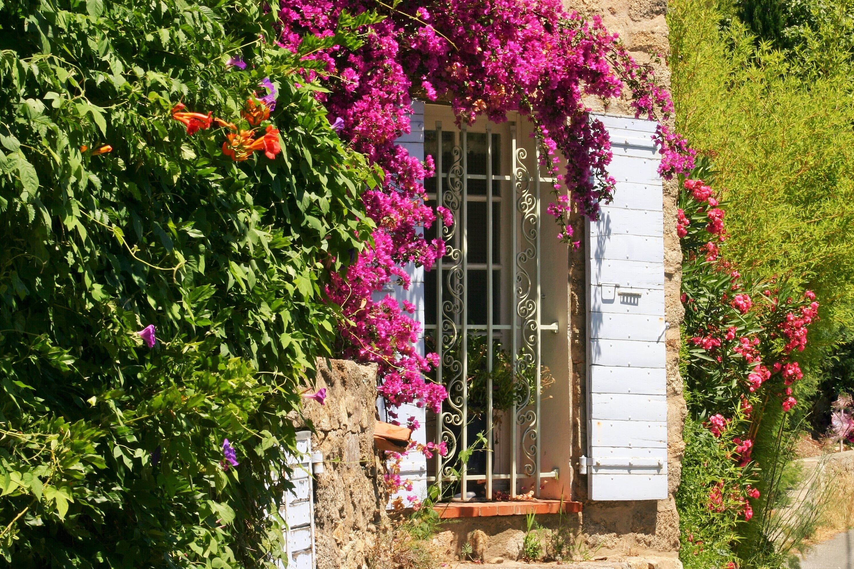 A rustic building with a white exterior, a metal gate, and lush greenery.