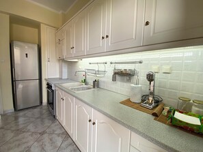 Fridge, oven, stovetop, electric kettle