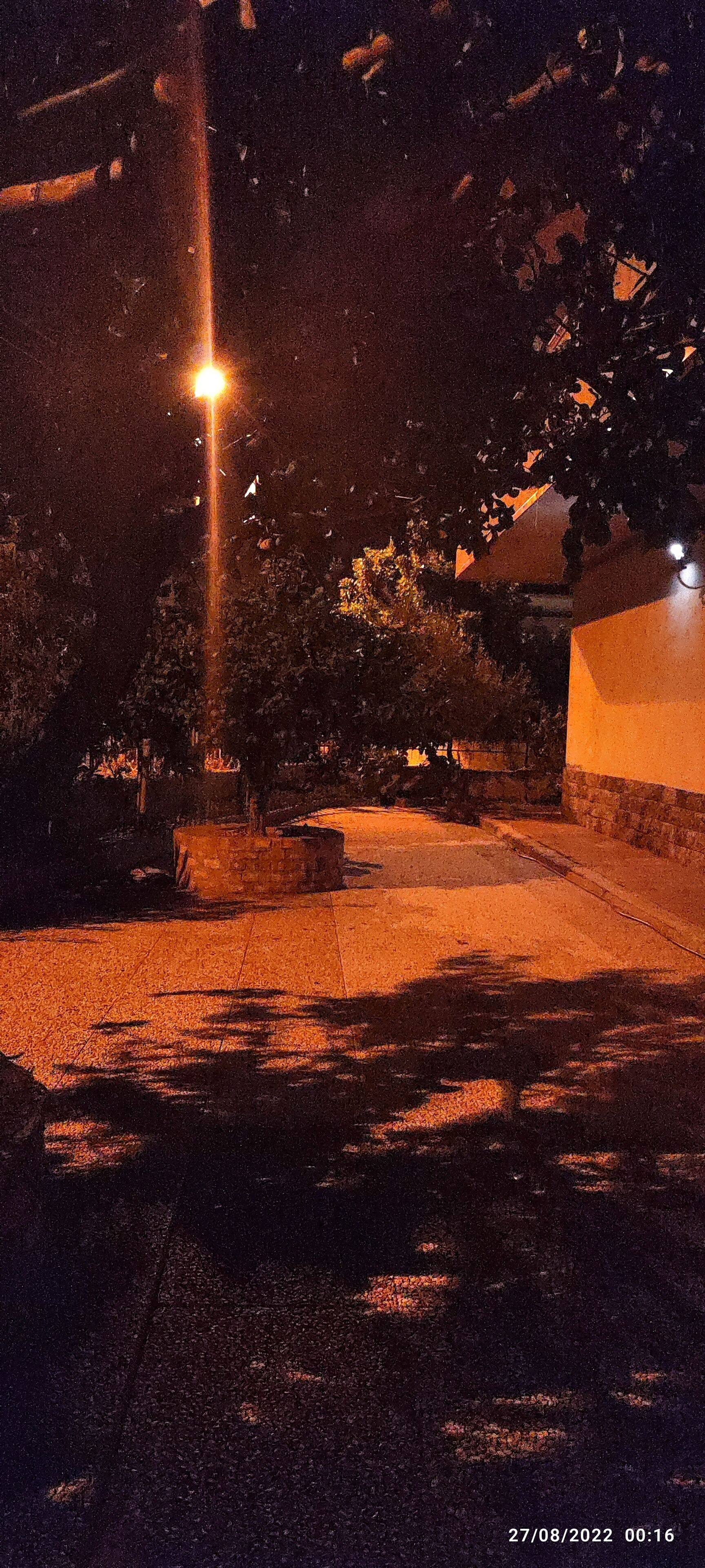 A nighttime outdoor scene with a street lamp, trees, and a building.